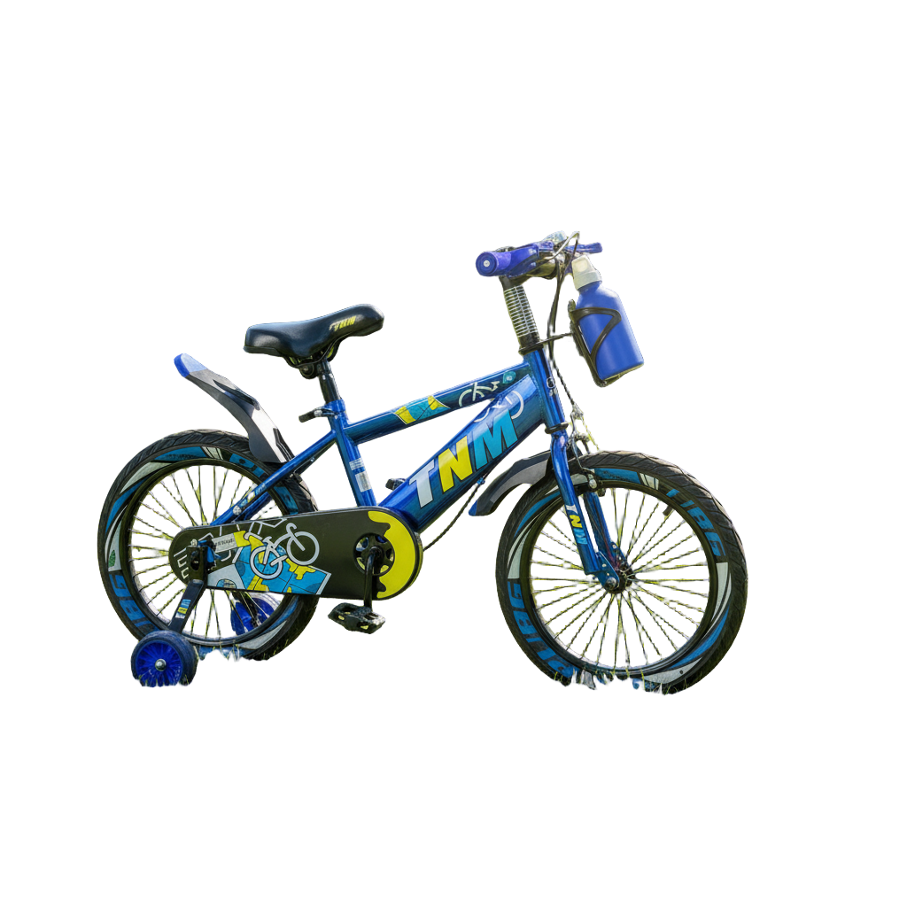 BICICLETA DE LUJO METALIZADA RIN 12